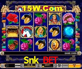 Benefícios da Conta Snk Bet