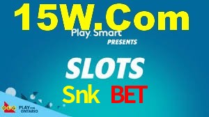Experimente o Login Seguro Premium no Snk Bet